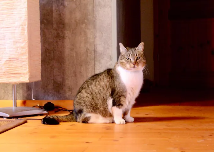 Апартаменты Wohnen Im Schoenen *