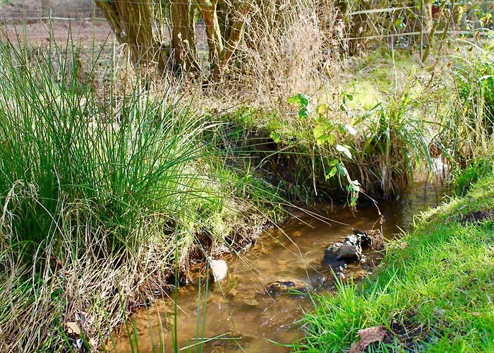 Апартаменты Wohnen Im Schoenen *